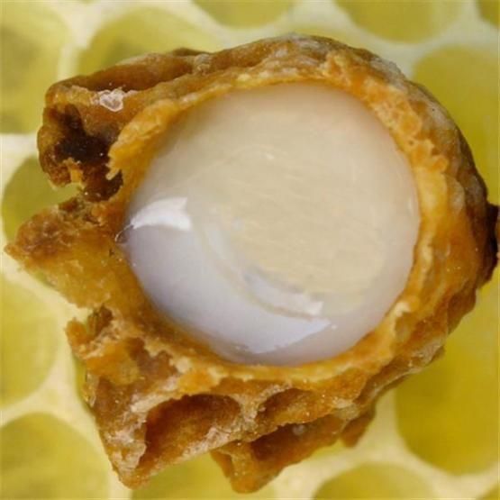 ژل رویال ارگانیک دارامان